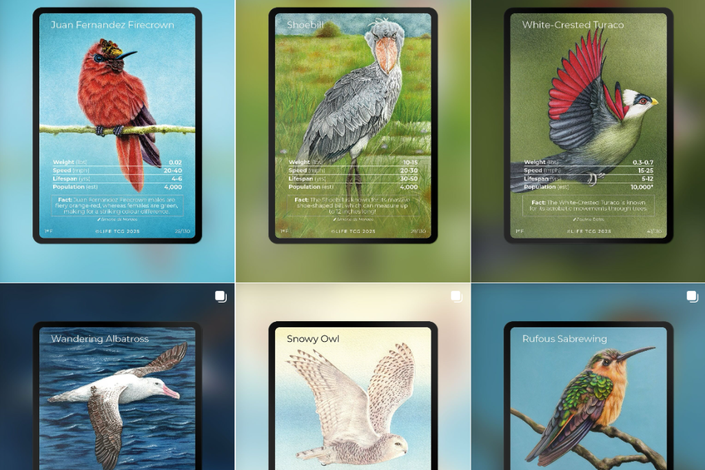 Soaring into Conservation: The Upcoming Birds Set in Life&nbsp;TCG